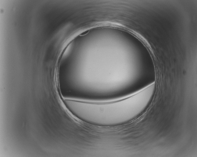 X0000081371391200701111055