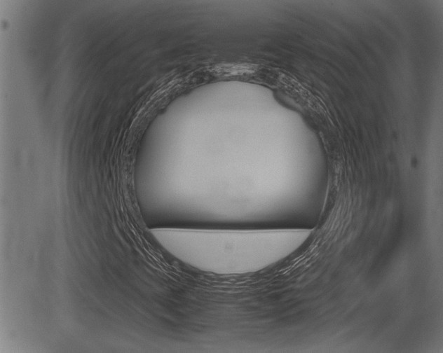 X0000081371393200701111055
