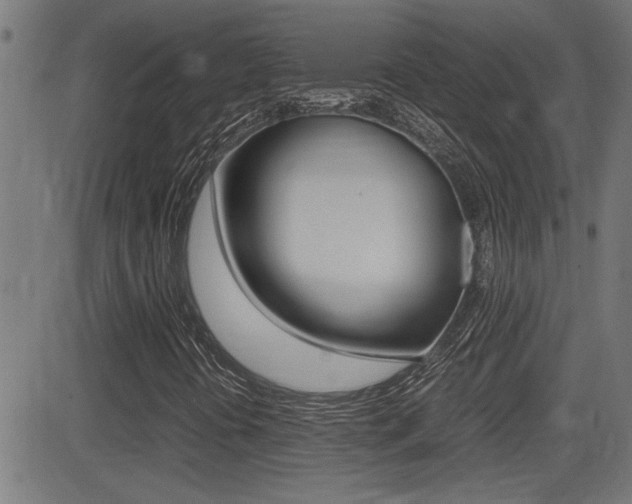 X0000081371394200701111055