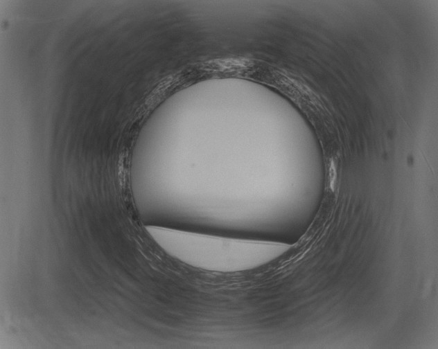 X0000081371395200701111055