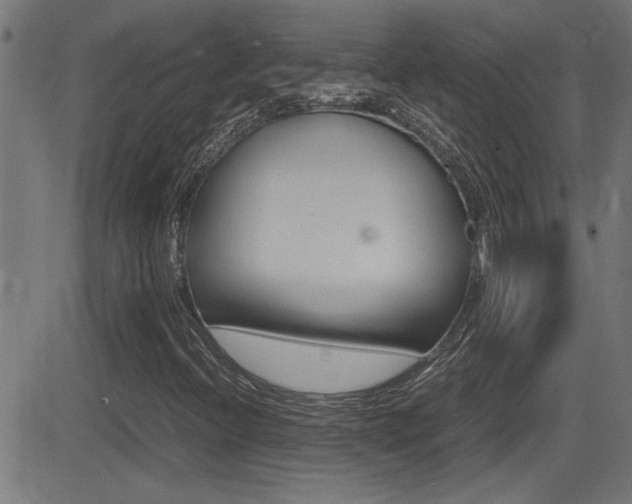 X0000081371396200701111055