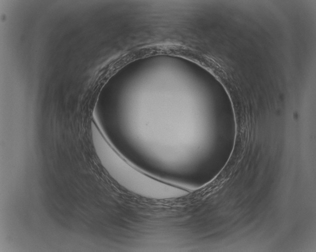 X0000081371398200701111055