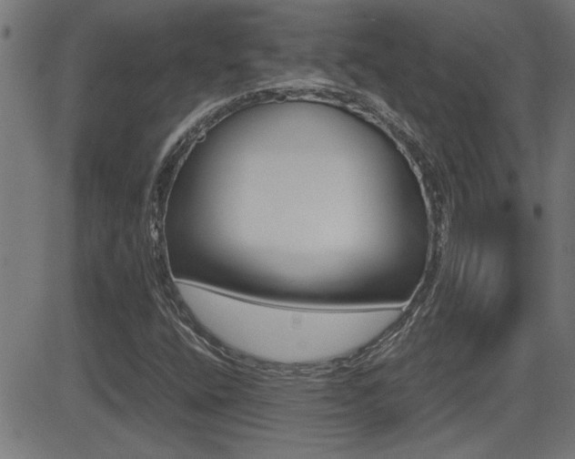 X0000081371400200701111055