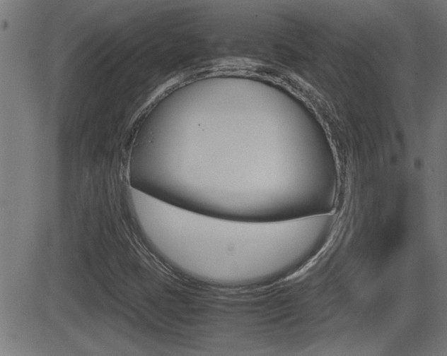 X0000081371401200701111055