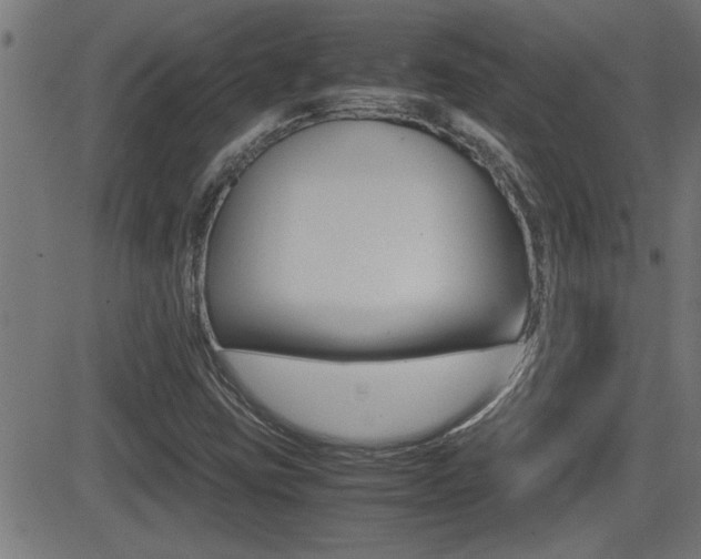 X0000081371403200701111055