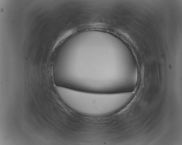 X0000081371405200701111055