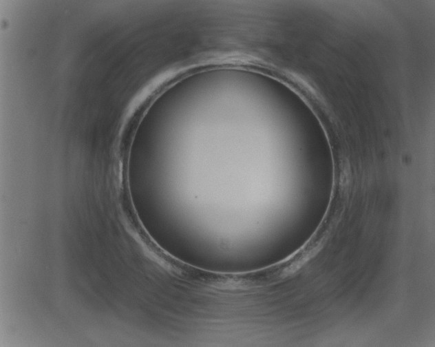 X0000081371414200701111055