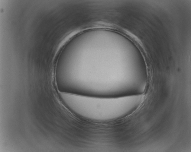 X0000081371415200701111055