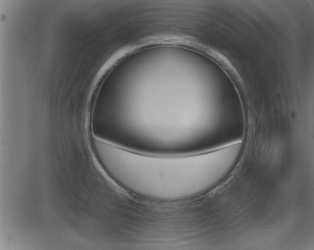 X0000081371424200701111055