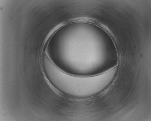 X0000081371426200701111055