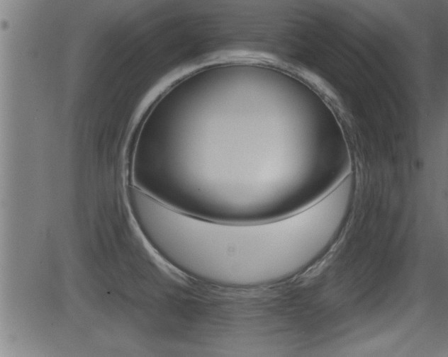 X0000081371430200701111055