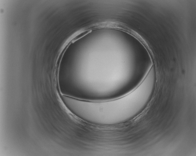 X0000081371434200701111055