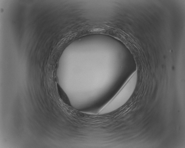 X0000081371441200701111055