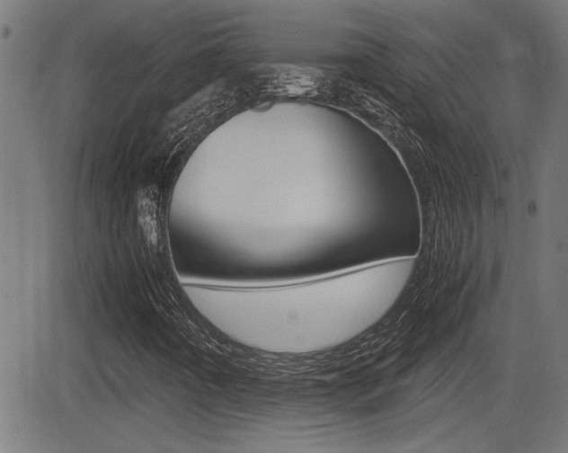 X0000081371442200701111055