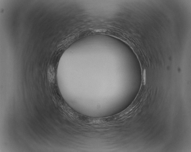 X0000081371443200701111055