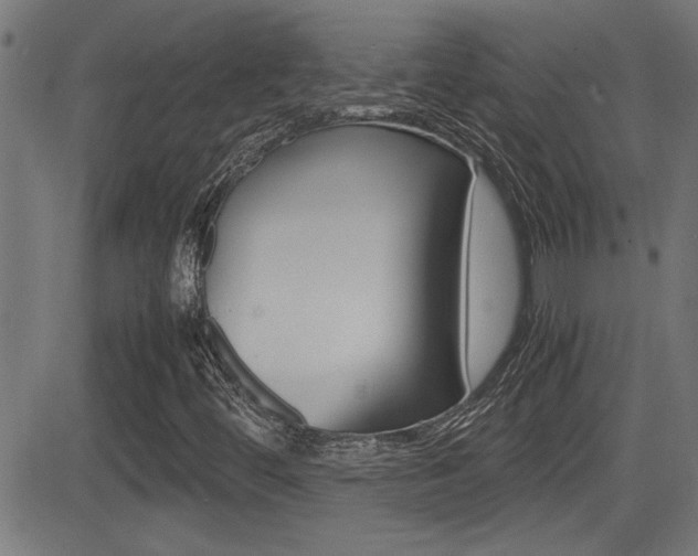 X0000081371444200701111055