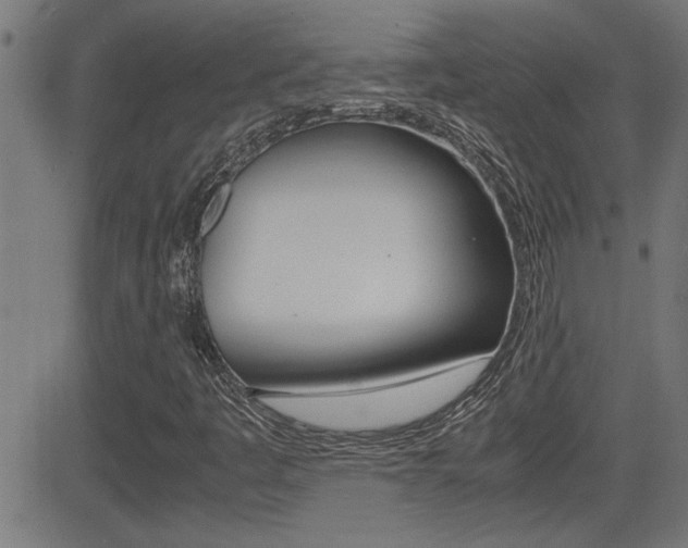 X0000081371445200701111055