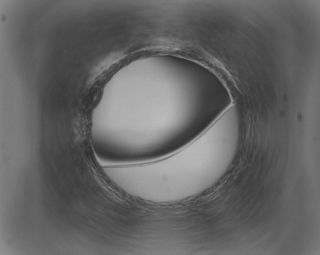 X0000081371448200701111054