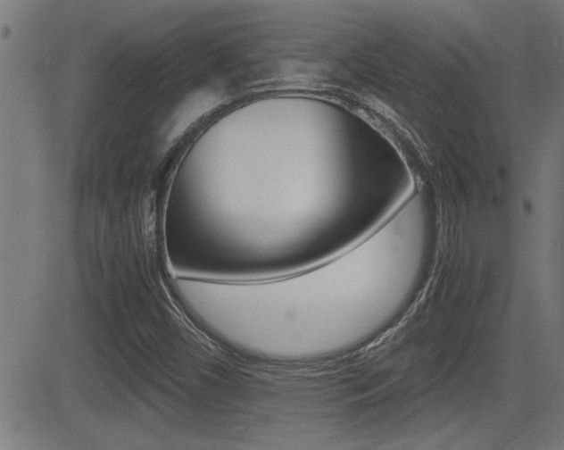 X0000081371450200701111054
