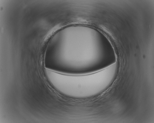 X0000081371455200701111054