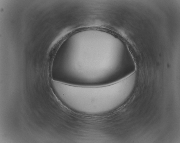 X0000081371456200701111054