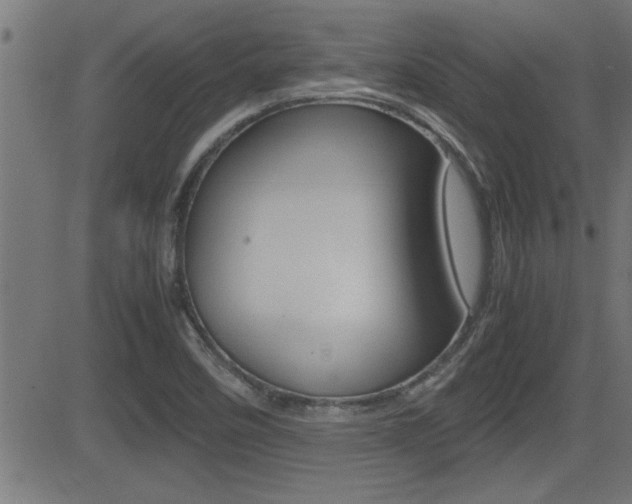 X0000081371458200701111054