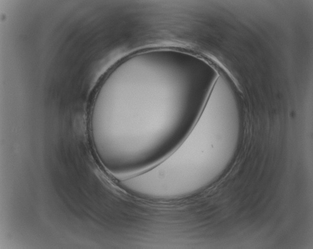 X0000081371460200701111054