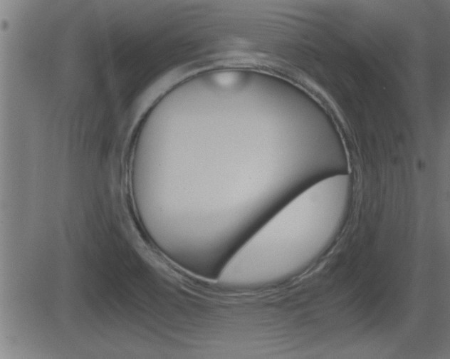 X0000081371467200701111054