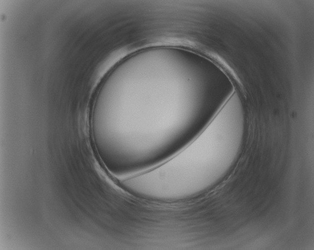 X0000081371468200701111054