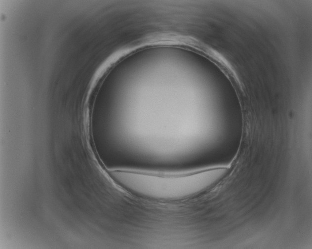 X0000081371472200701111054