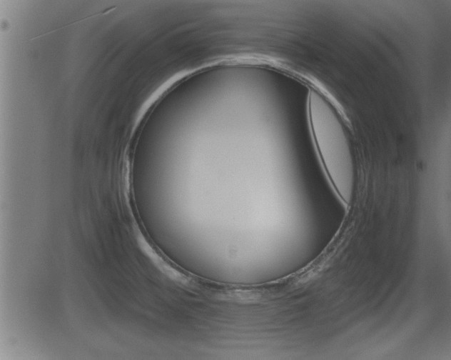 X0000081371476200701111054