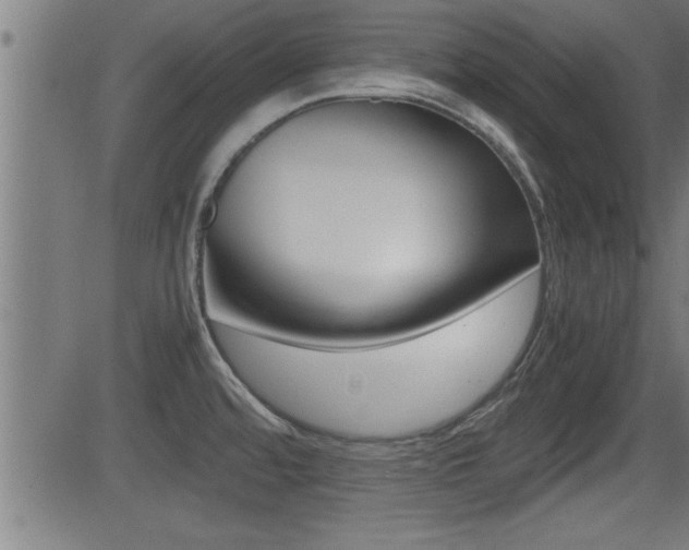 X0000081371480200701111054