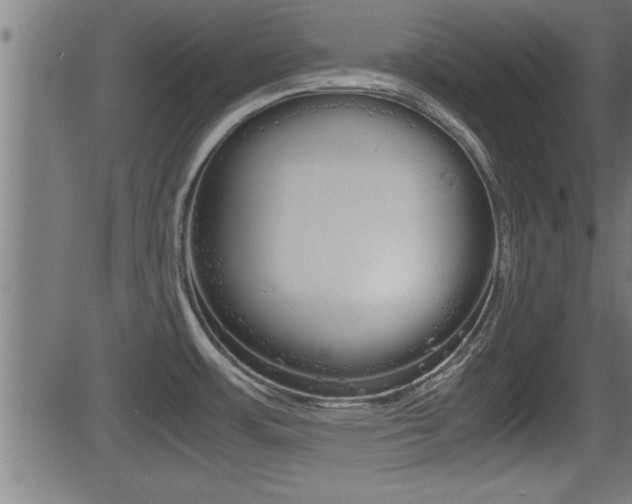 X0000081371483200701111054