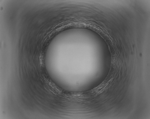 X0000081371490200701111053