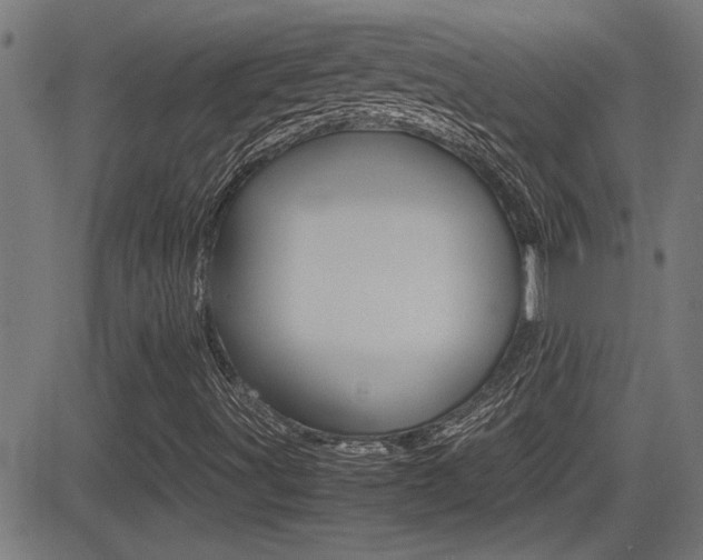 X0000081371491200701111053