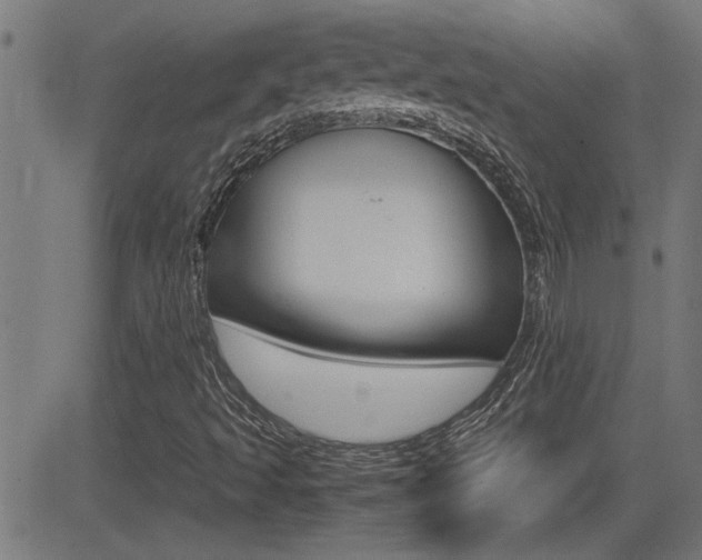 X0000081371493200701111053
