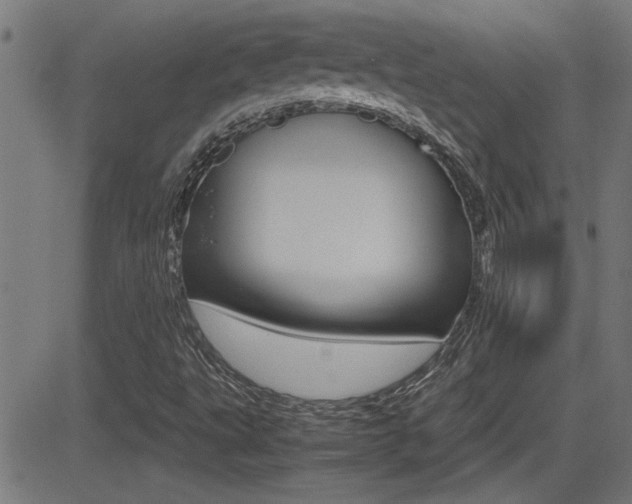 X0000081371495200701111053