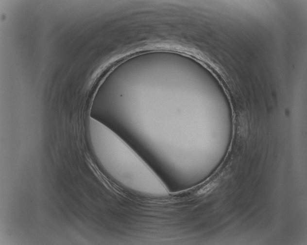 X0000081371499200701111053