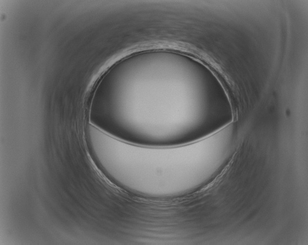 X0000081371500200701111053