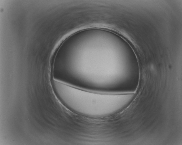 X0000081371508200701111053