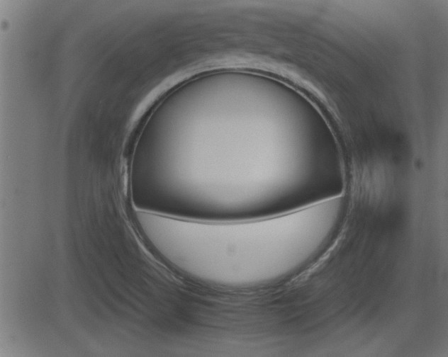 X0000081371509200701111053