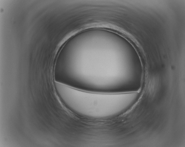 X0000081371513200701111053