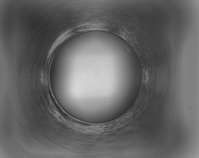 X0000081370004200701111600