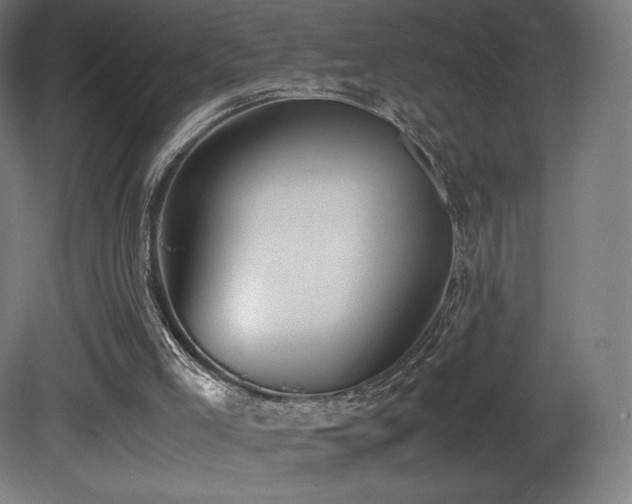 X0000081370005200701111600