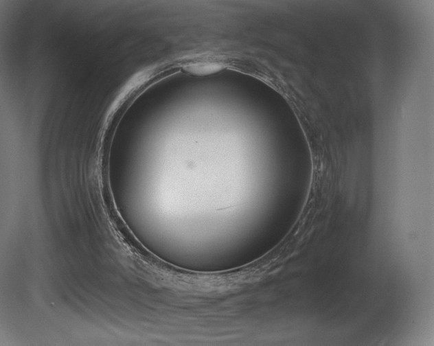 X0000081370006200701111600