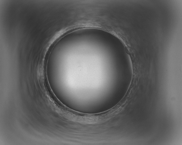 X0000081370008200701111600