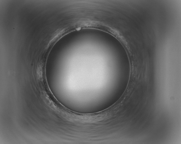 X0000081370010200701111600
