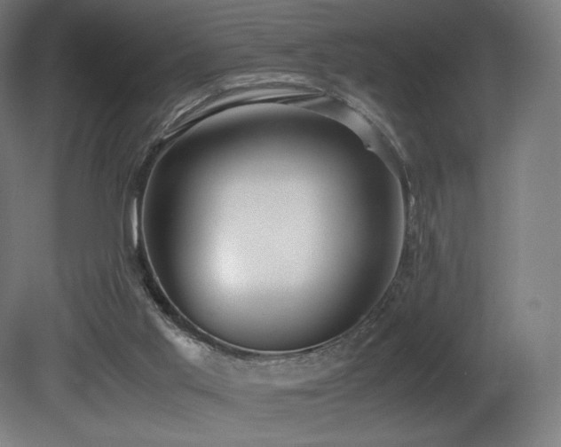 X0000081370013200701111600