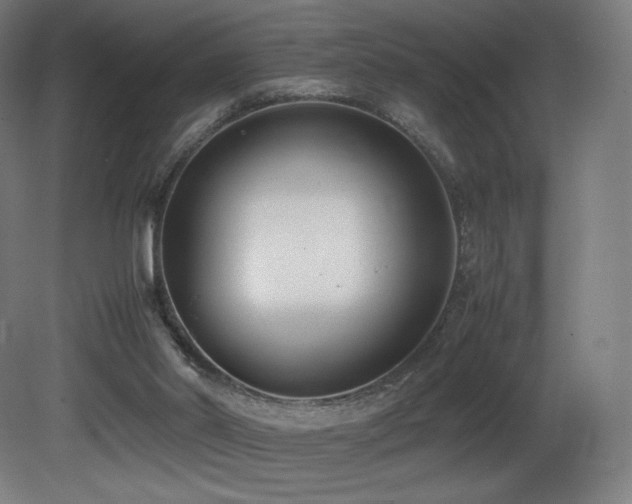 X0000081370014200701111600