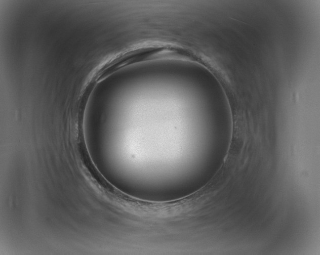 X0000081370015200701111600